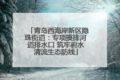 青岛西海岸新区隐珠街道：专项摸排河道排水口 筑牢碧水清流生态防线