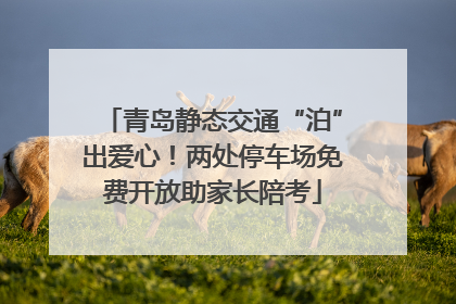 青岛静态交通“泊”出爱心！两处停车场免费开放助家长陪考