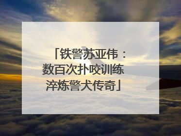 铁警苏亚伟：数百次扑咬训练淬炼警犬传奇