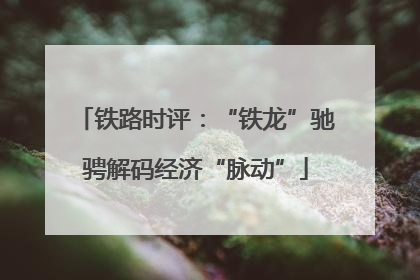 铁路时评：“铁龙”驰骋解码经济“脉动”