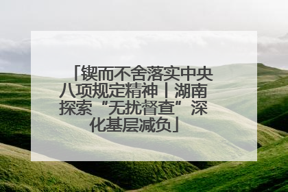 锲而不舍落实中央八项规定精神丨湖南探索“无扰督查”深化基层减负