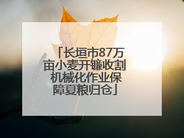 长垣市87万亩小麦开镰收割 机械化作业保障夏粮归仓