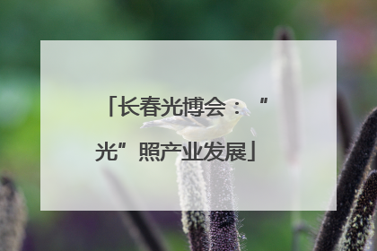长春光博会：“光”照产业发展