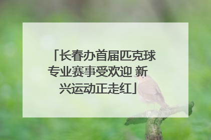长春办首届匹克球专业赛事受欢迎 新兴运动正走红