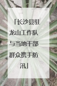 长沙县驻龙山工作队与当地干部群众携手防汛