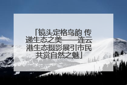 镜头定格鸟韵 传递生态之美——连云港生态摄影展引市民共赏自然之魅