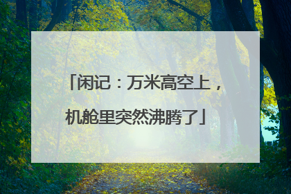 闲记：万米高空上，机舱里突然沸腾了