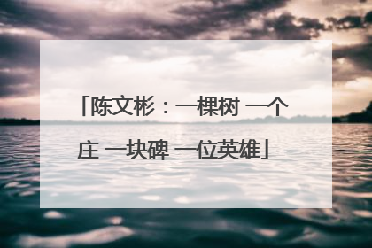 陈文彬：一棵树 一个庄 一块碑 一位英雄