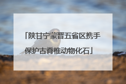 陕甘宁蒙晋五省区携手保护古脊椎动物化石