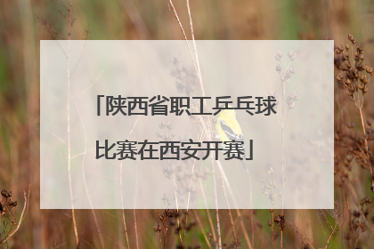 陕西省职工乒乓球比赛在西安开赛