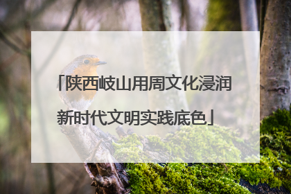 陕西岐山用周文化浸润新时代文明实践底色