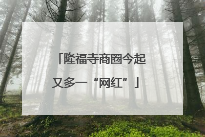 隆福寺商圈今起又多一“网红”