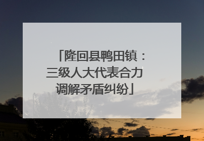 隆回县鸭田镇：三级人大代表合力调解矛盾纠纷