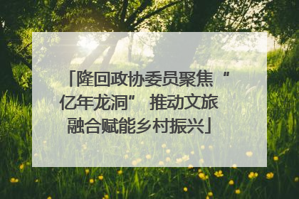 隆回政协委员聚焦“亿年龙洞” 推动文旅融合赋能乡村振兴