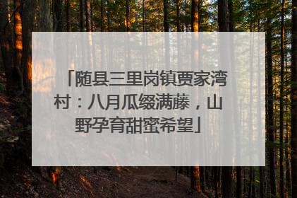 随县三里岗镇贾家湾村：八月瓜缀满藤，山野孕育甜蜜希望