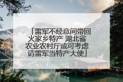 雷军不经意间带回火家乡特产 湖北省农业农村厅或可考虑请雷军当特产大使