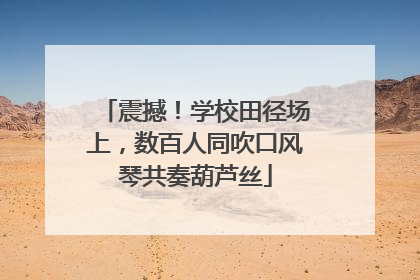 震撼！学校田径场上，数百人同吹口风琴共奏葫芦丝