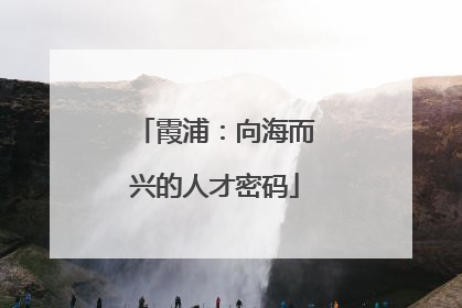 霞浦：向海而兴的人才密码