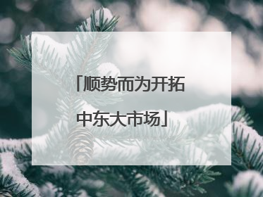 顺势而为开拓中东大市场