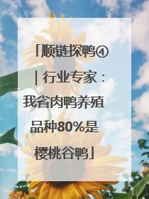 顺链探鸭④｜行业专家：我省肉鸭养殖品种80%是樱桃谷鸭