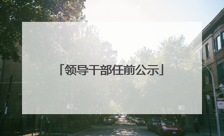 领导干部任前公示