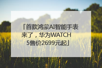 首款鸿蒙AI智能手表来了，华为WATCH 5售价2699元起