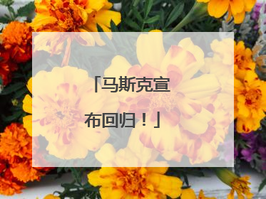 马斯克宣布回归！