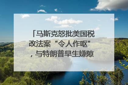 马斯克怒批美国税改法案“令人作呕”，与特朗普早生嫌隙？｜国际识局
