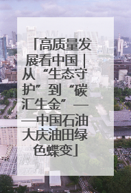 高质量发展看中国｜从“生态守护”到“碳汇生金”——中国石油大庆油田绿色蝶变