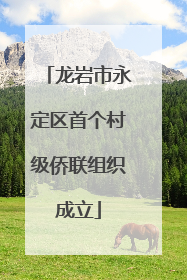 龙岩市永定区首个村级侨联组织成立