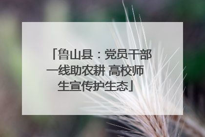 鲁山县：党员干部一线助农耕 高校师生宣传护生态