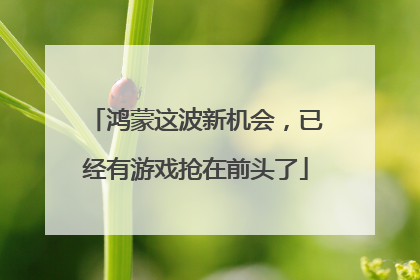 鸿蒙这波新机会，已经有游戏抢在前头了