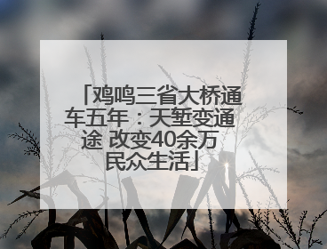 鸡鸣三省大桥通车五年：天堑变通途 改变40余万民众生活