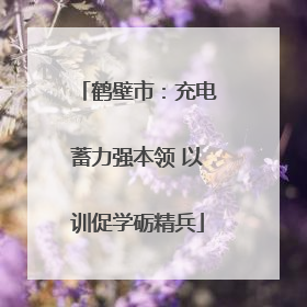 鹤壁市：充电蓄力强本领 以训促学砺精兵