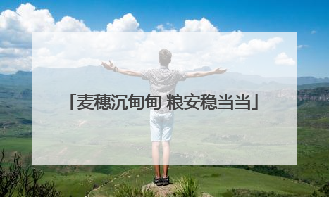 麦穗沉甸甸 粮安稳当当