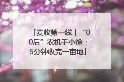 麦收第一线丨“00后”农机手小徐：5分钟收完一亩地