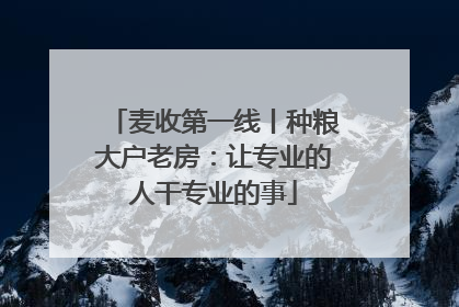 麦收第一线丨种粮大户老房：让专业的人干专业的事