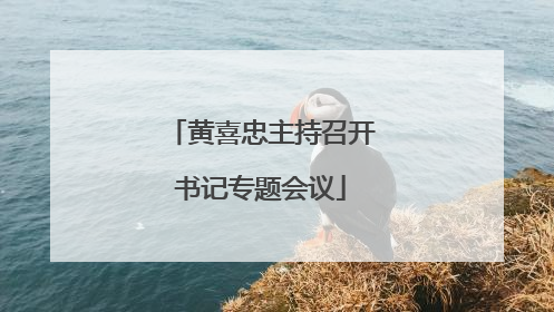 黄喜忠主持召开书记专题会议
