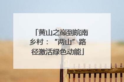 黄山之巅到皖南乡村：“两山”路径激活绿色动能
