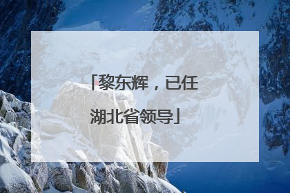 黎东辉，已任湖北省领导