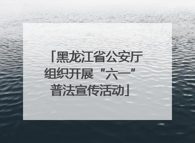 黑龙江省公安厅组织开展“六一”普法宣传活动