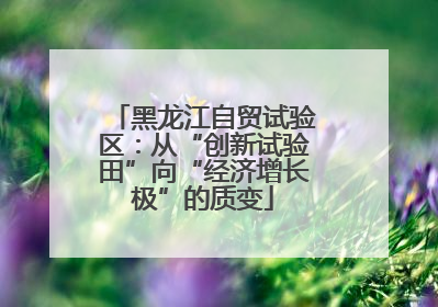 黑龙江自贸试验区：从“创新试验田”向“经济增长极”的质变