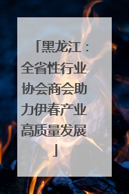 黑龙江：全省性行业协会商会助力伊春产业高质量发展