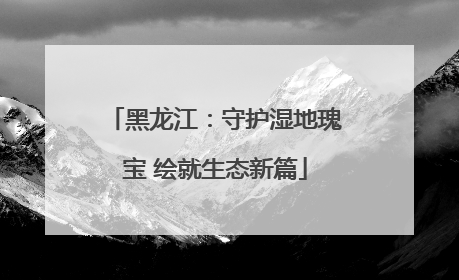 黑龙江：守护湿地瑰宝 绘就生态新篇