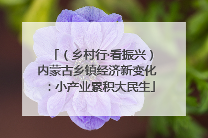 （乡村行·看振兴）内蒙古乡镇经济新变化：小产业累积大民生