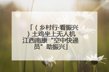 （乡村行·看振兴）土鸡坐上无人机 江西南康“空中快递员”助振兴
