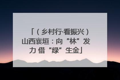 （乡村行·看振兴）山西襄垣：向“林”发力 借“绿”生金