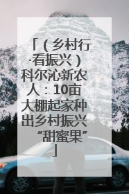 （乡村行·看振兴）科尔沁新农人：10亩大棚起家种出乡村振兴“甜蜜果”