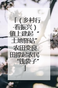 （乡村行·看振兴）镇上建起“土地驿站” 农田变良田撑起农民“钱袋子”