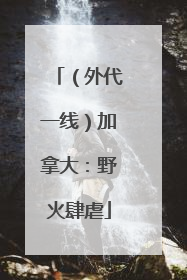 （外代一线）加拿大：野火肆虐